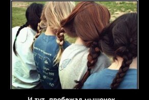 Демотиваторы: девушки и котики