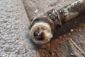 Сантехникам заплатили, но они все равно решили нас наказать