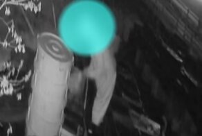 Улов жулика, пробравшегося ночью в зоомагазин с&nbsp;сачком, оценили в 300&nbsp;рыбок на 700&nbsp;тысяч рублей