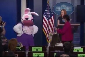 Когда брифинг был в разгаре, Псаки посетил белый кролик