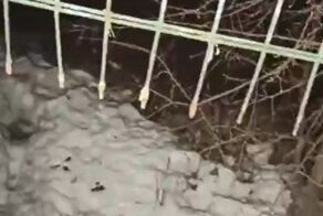 С приходом весны многодетная семья осталась без балкона