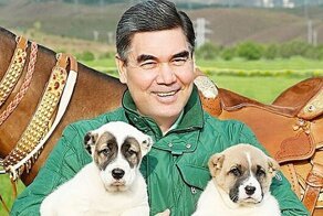 В Туркмении появились звания народного и заслуженного собаковода