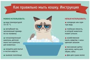 27 жизненных и полезных шпаргалок, отвечающих на вопрос "Как"