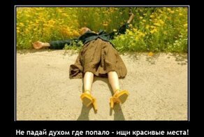 Свежие демотиваторы: архитектура, финансы и котики