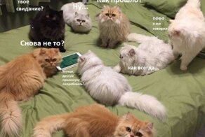 Шутки, которые поймут только люди, не состоящие в отношениях