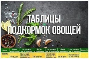 23 важные и нужные шпаргалки для дачи и огорода
