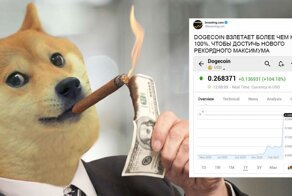 Полцарства на Dogecoin, или история невероятного взлета