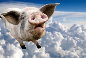 15 нелепых английских идиом и их происхождение