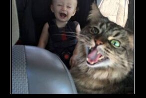 Демотиваторы — разные, позитивные