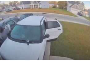 Момент нападения рыси на женщину попал на видео