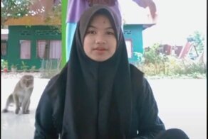 Вытеснила из кадра: обезьянка оказалась талантливее начинающих тиктокерш