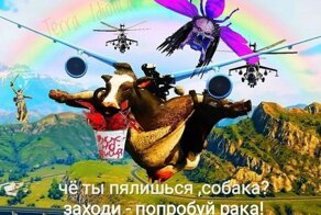"Срочно нужен баннер": как будет выглядеть заказ, если четко следовать заданию