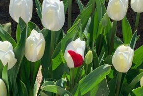 Разрушая шаблоны: нюансы, которые не вписываются в общую картину