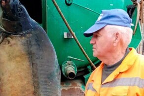 Фейковый аккаунт краснодарского водоканала полюбился местным жителям