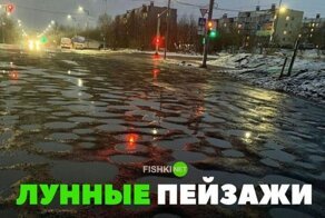 Забавные картинки на автомобильную тематику