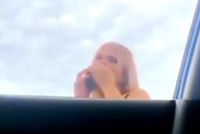 Ночная бабочка засмущалась, услышав необычное предложение от автомобилиста