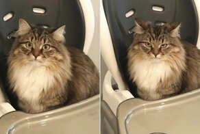 50 фотосравнений "до и после", на которые можно смотреть бесконечно