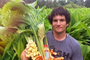 10 фотографий, демонстрирующих, как растут некоторые известные продукты