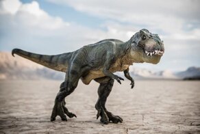 Ученые определили, что тираннозавр передвигался медленнее человека