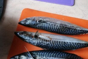 Я сильный любитель рыбы. Любой. Говорят, что есть "невкусная рыба". Попробую это опровергнуть