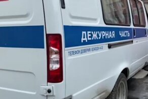Чтобы украсть фрагмент забора, россиянин из ружья разделался со свидетелем: видео
