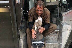 Какая милота: 20+ фото о любви собак к курьерам