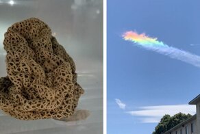 35 необычных находок обычных людей