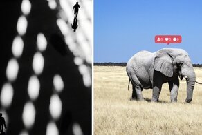 Лучшие снимки с конкурса фотографии Fine Art Photography Awards