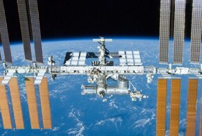 На МКС обнаружили три совершенно новые формы жизни