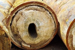 50 оттенков жёлтого