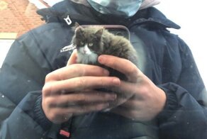 17 фотографий, которые полностью обманут ваш мозг