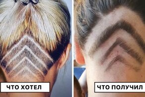 35 человек, которые получили совсем не то, за что заплатили