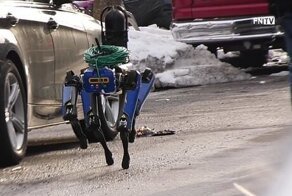 Робота-собаку уволили из нью-йоркской полиции за слишком футуристический вид