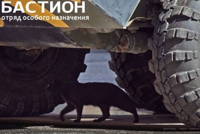 18 китайцев на бронетранспортёре или ООН "БАСТИОН" (33 фото)