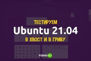 Обзор Ubuntu 21.04. Можно ли использовать систему дома?