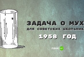 Математическая задачка о мухе, которую предлагалось решить советским школьникам