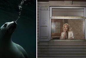Победители конкурса фотографии The Emerging Talent Award