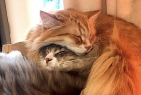 38 фотографий, которые развеют вашу скуку