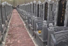 Пожилых китайских туристов отвезли на кладбище в качестве рекламы вместо экскурсии