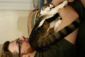 15 хвостатых, которые и секунды не могут обойтись без своего хозяина