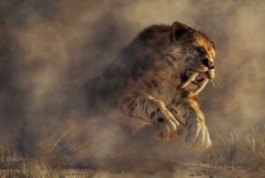 Ученые нашли останки одной из самых больших саблезубых кошек