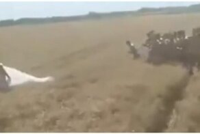 Сбежавшая невеста