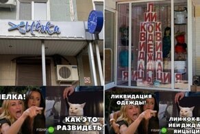 Мемы с осуждающим котиком, которые рассмешат любого