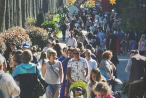 "За обед для детей две с половиной тысячи?": приезжие шокированы ценами на курортах России