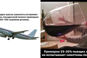 25 любопытных фактов, которые вскружат вам голову