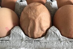 20+ интересных фото с редкими и необычными явлениями