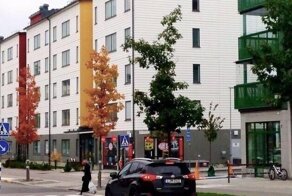 15 снимков, момент для которых был подобран идеально