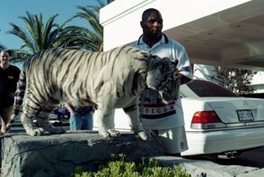 Экзотические питомцы звезд