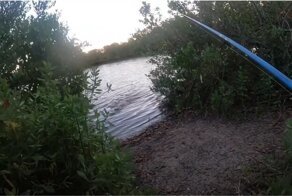 Неожиданная встреча рыбака с аллигатором