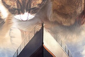 Если бы в блокбастерах играли собаки и кошки